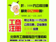 豐臺區(qū)1000萬科技發(fā)展公司執(zhí)照轉讓 技術開發(fā)領域的機遇與操作指南