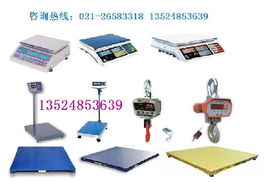 如何選擇專業(yè)的電子秤供應(yīng)商 品質(zhì)、優(yōu)惠與技術(shù)服務(wù)的均衡之道