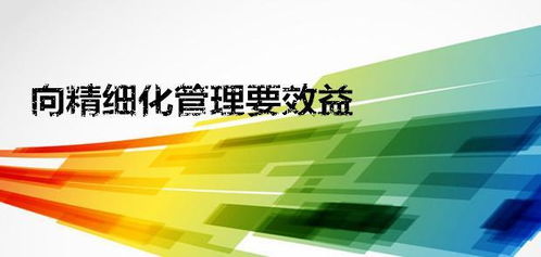 軟件開發中的精細化管理 驅動企業數字化轉型的引擎